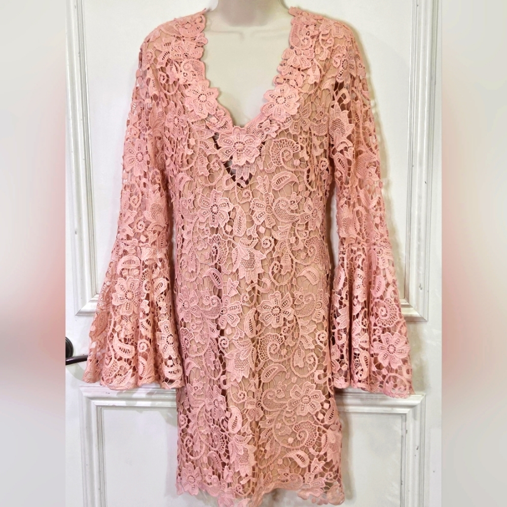 Julian Chang Blush Pink  Embroidered Lace,Bell Sleeve Jame Dress, Size12,NWT